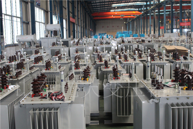 都兰S22-800KVA/10KV